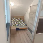 Apartament Magnolia Miedzybrodzie Zywieckie