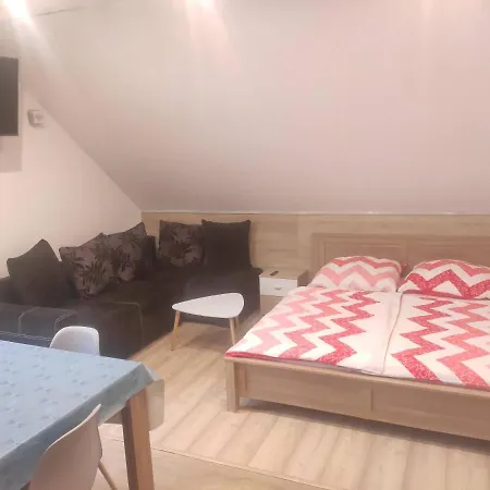 Apartament Magnolia Miedzybrodzie Zywieckie