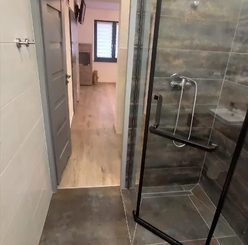 Magnolia מידז'יברודז'י ז'יוויקי