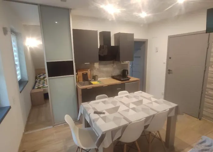 Magnolia * מידז'יברודז'י ז'יוויקי